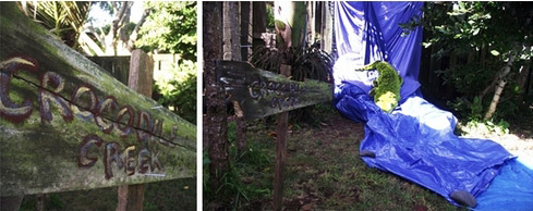 водопад с крокодилами